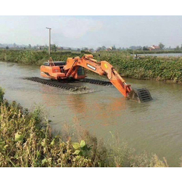 水陆挖掘机出租报价-和平挖掘机租赁-西藏挖掘机出租