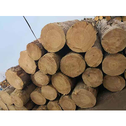 晟荣木材-威海铁杉建筑木方-工程用铁杉建筑木方