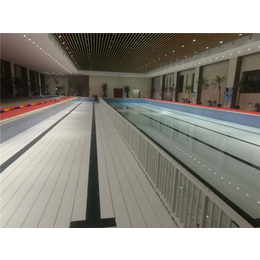 天度康体(图)-庭院游泳池施工-广东游泳池施工