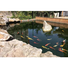 济南锦鲤鱼池和济南室内鱼池的济南鱼池制作过程