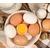 * 蛋与蛋制品检测缩略图2