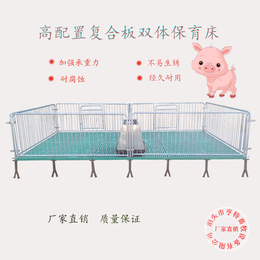 猪场定制养猪设备猪用产床复合材质单体双体整体*栏仔猪保育床