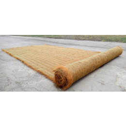 护坡植草毯 河道护坡植生毯 绿化防护植生毯 保水保湿