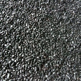 石场长期出售大量黑色鹅卵石缩略图