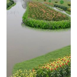 室外花卉植物价格-海南室外花卉植物-长沙市雨花区环路景石