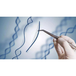 揭阳DNA亲子鉴定都有哪些方式 准确率高的竟是