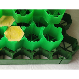塑料植草格厂家-10年植草格生产厂家-潍坊塑料植草格