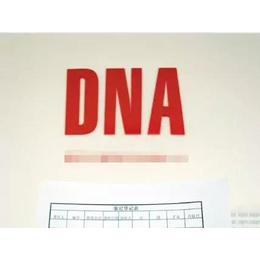锡场哪里可以做DNA亲子鉴定一般多少钱