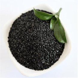 高碘椰壳活性炭-晨晖炭业(在线咨询)-椰壳活性炭