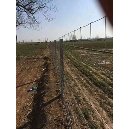 养鹿围网围栏和牛栏网围栏区别  网围栏厂家为您解答