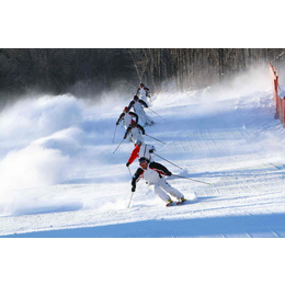 滑雪场会员一卡通星火滑雪场软件冰雪嘉年华收银系统