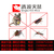 灭蚂蚁公司-濮阳清波灭鼠(在线咨询)-淇县灭蚂蚁缩略图1