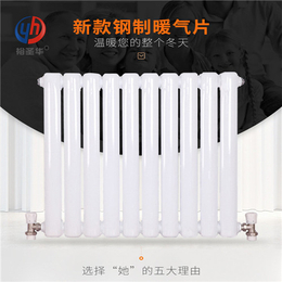 钢二柱散热器QFBGZ205钢制柱式暖气片