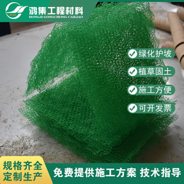 揭阳坡面保护三维植草土工网垫定制生产