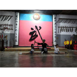 湖北京山市武术影视学校-武术影视学校(在线咨询)