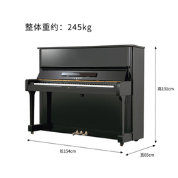 钢琴-江苏苏州联合琴行-钢琴入门基础教程