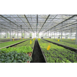 浙江蔬菜大棚-科农温室承接工程-蔬菜大棚遮阳网