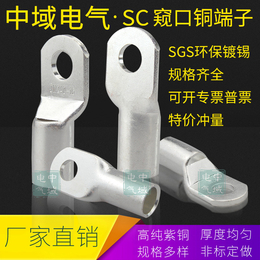 窥口铜鼻子接线耳SC70-8 10 12MM新能源汽车使用 