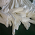 涤纶木工滤袋布袋布袋工业涤纶吸尘器涤纶除尘防尘耐高温防缩略图2