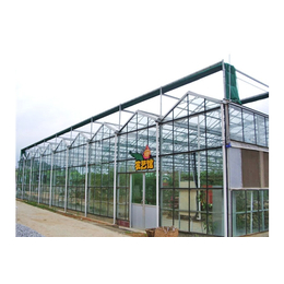 玻璃温室承建-乌鲁木齐玻璃温室-青州瑞青农林科技(查看)