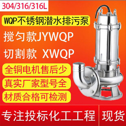 切割式污水泵定制-切割式污水泵-临泉泵业污水泵价格(查看)