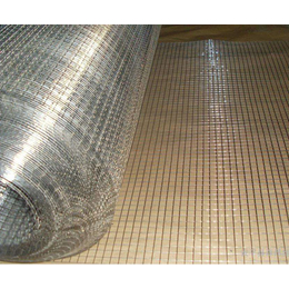 汉立建材厂家*-低碳钢丝圈玉米电焊网生产厂