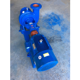 粗浆水泵定做-浙江粗浆水泵-强能工业泵