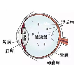 增视仪购买-增视仪-戴明视加盟(查看)