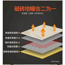 西藏碳纤维电地暖发热模块厂家-武汉江生热力科技