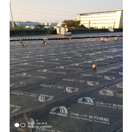 滁州防水-南京蓝盾防水-钢结构屋面防水