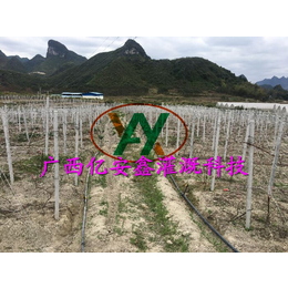 园林灌溉企业-北海园林灌溉-广西亿安鑫