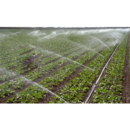 农业灌溉公司、天峨县灌溉、广西南宁宏振灌溉公司