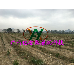 PE灌溉管生产-亿安鑫节水设备-广西PE灌溉管