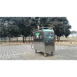 广西燃气蒸汽洗车机-豫翔机械-环保燃气蒸汽洗车机