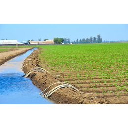 禾众绿霖灌溉(图)-农业滴灌施工-襄阳农业滴灌