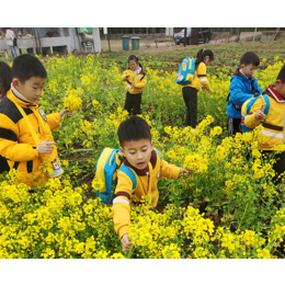 合肥夏令营-天牛星青少年训练营-小学生夏令营