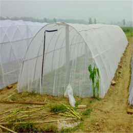胡蜂蝗虫养殖网罩拱形定做拼接大宽幅的网片新料新货特别养殖