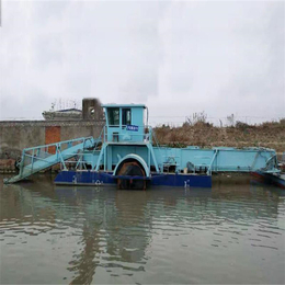 水葫芦收集船-水葫芦-青州先科机械(在线咨询)