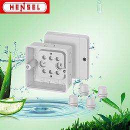 德国汉森HENSEL接线盒D9020Z防水IP55