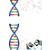 潮州科普 DNA亲子鉴定靠谱的原因缩略图1
