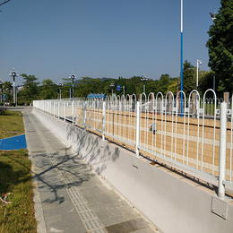 东莞市政道路护栏现货 花坛隔离栅栏 马路防跨越护栏