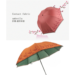 电动车伞遮阳-红黄兰制伞品种齐全-电动车伞