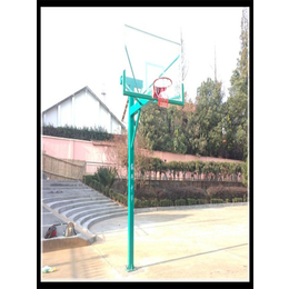 篮球-湘奥体育【贴心服务】-室外篮球架