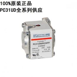 PC31UD69V500TF罗兰690V方体