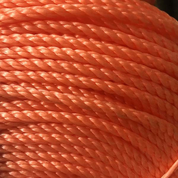 聚乙烯桔红绳价格-远翔绳网(在线咨询)-聚乙烯桔红绳
