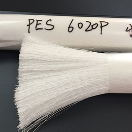 浙江PES-川澳塑胶质量可靠-*PES厂家