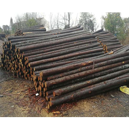 *绿化支撑杆-宏文木业(在线咨询)-南京绿化支撑杆