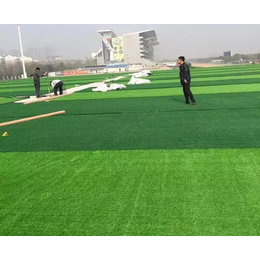 汉中人造草坪-西安康特塑胶-足球场人造草坪