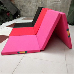 学生折叠垫图片-华滨体育(在线咨询)-学生折叠垫