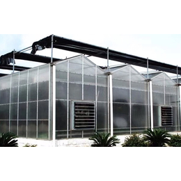 齐鑫温室大棚建造案例-阳光板温室造价-阳光板温室造价多少